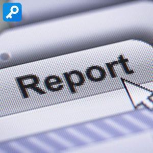 Asset Report